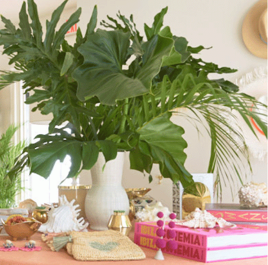 A Designers Guide to Palm Beach